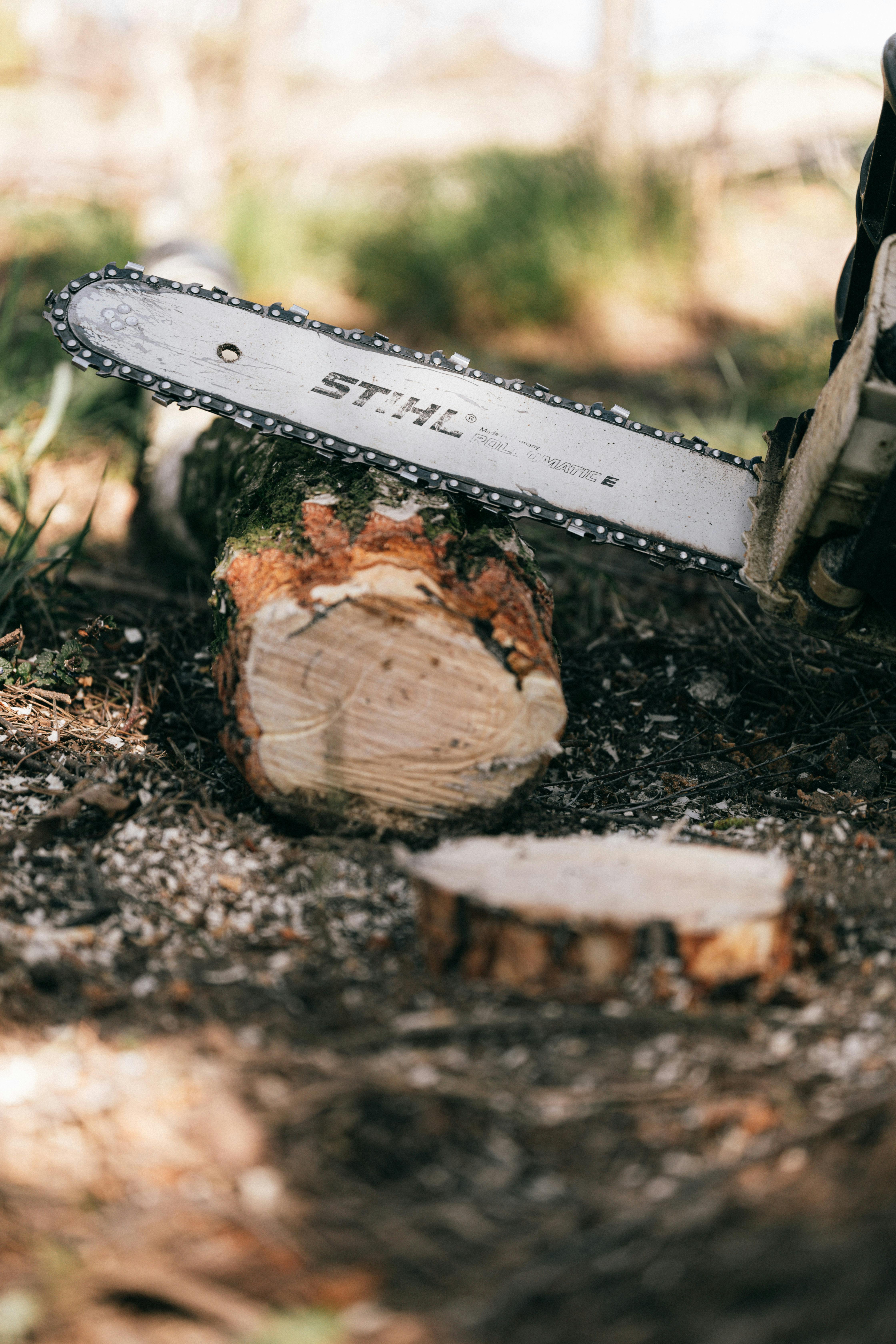 Pflege der Stihl Akku Kettensäge