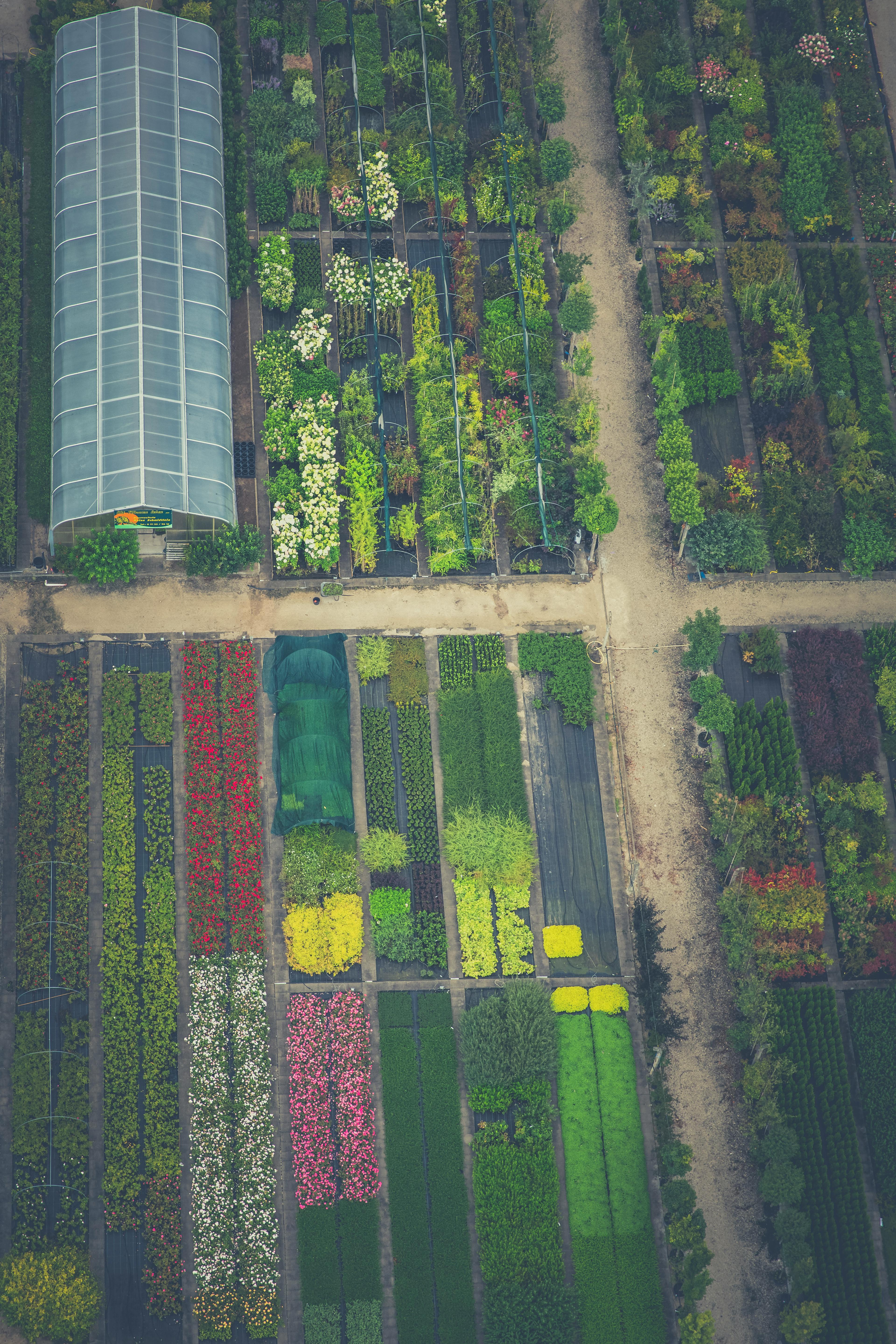 Beispiel für gelungene Gartenplanung